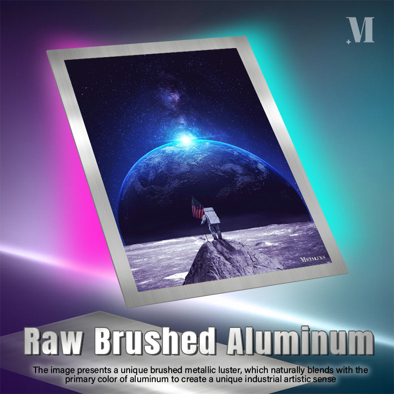 Astronaut Moon Landing H0801-25