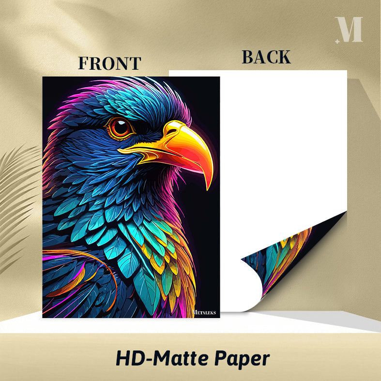 Bird neon theme