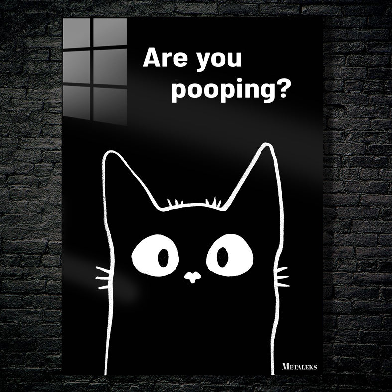 Black cat are you pooping_
