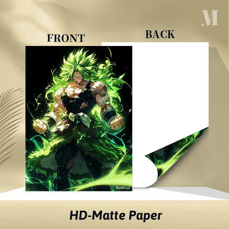 Broly Fighter - Anime Dragon Ball