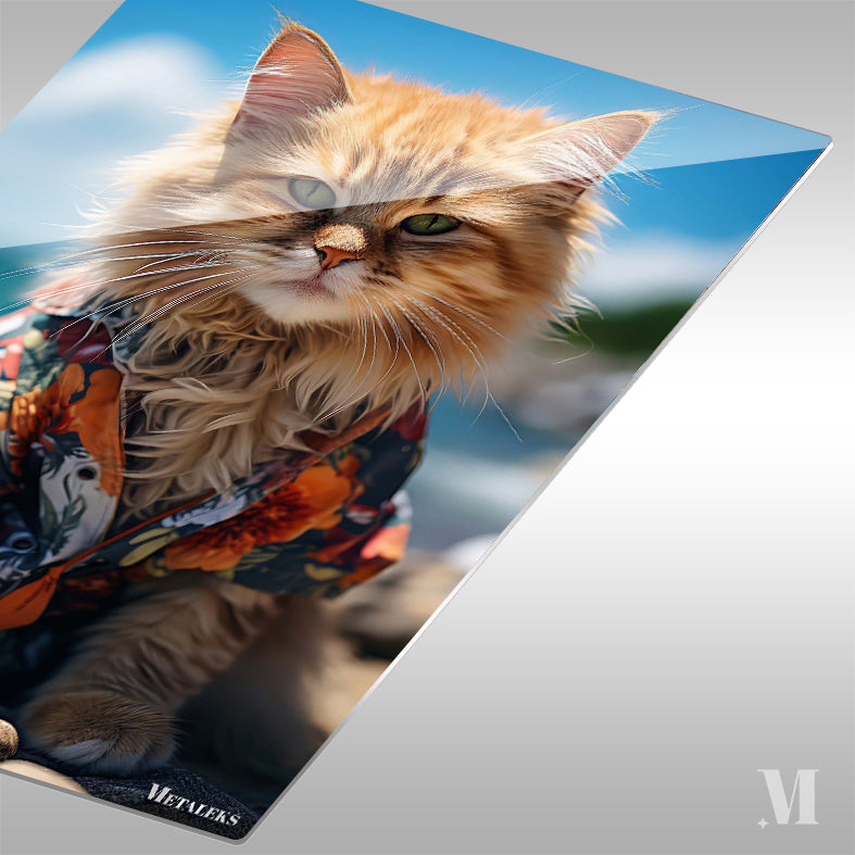 Cat in the beach