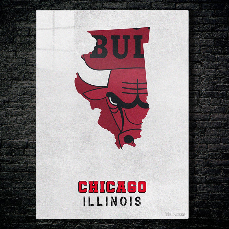 Chicago Bulls Chicago Illinois State Map