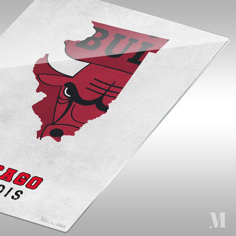 Chicago Bulls Chicago Illinois State Map