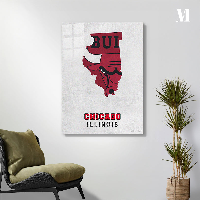Chicago Bulls Chicago Illinois State Map
