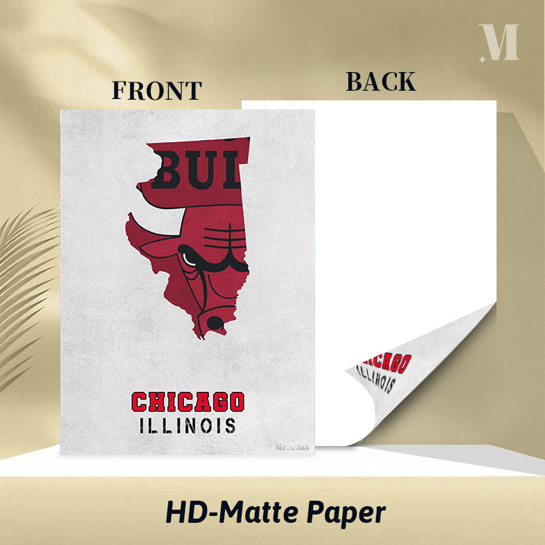 Chicago Bulls Chicago Illinois State Map