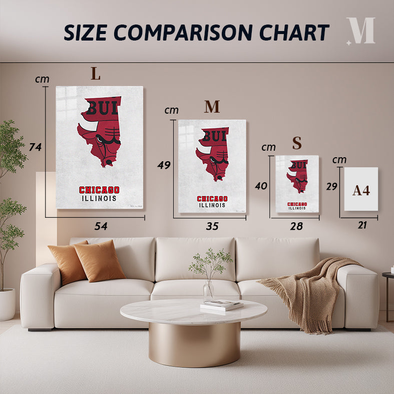 Chicago Bulls Chicago Illinois State Map