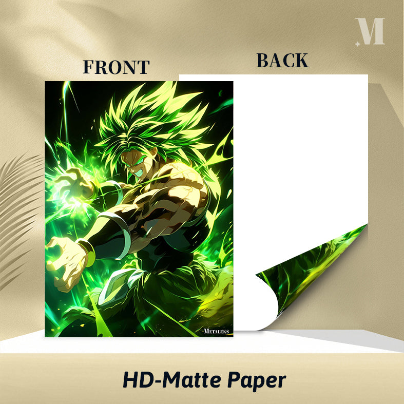 D - 246 BROLY DRAGON BALL H0731-25