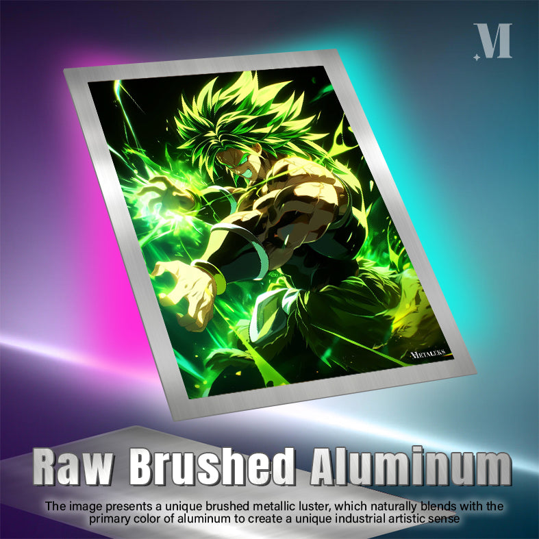D - 246 BROLY DRAGON BALL H0731-25