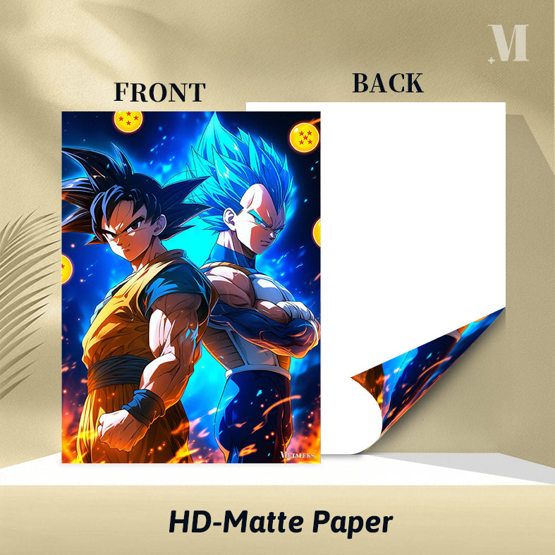D - 257 GOKU AND VEGETA H0731-25