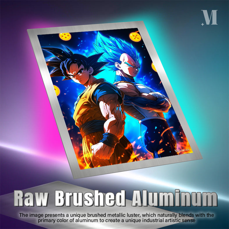 D - 257 GOKU AND VEGETA H0731-25