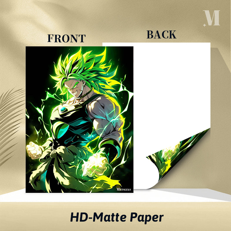 D - 259 BROLY H0731-25