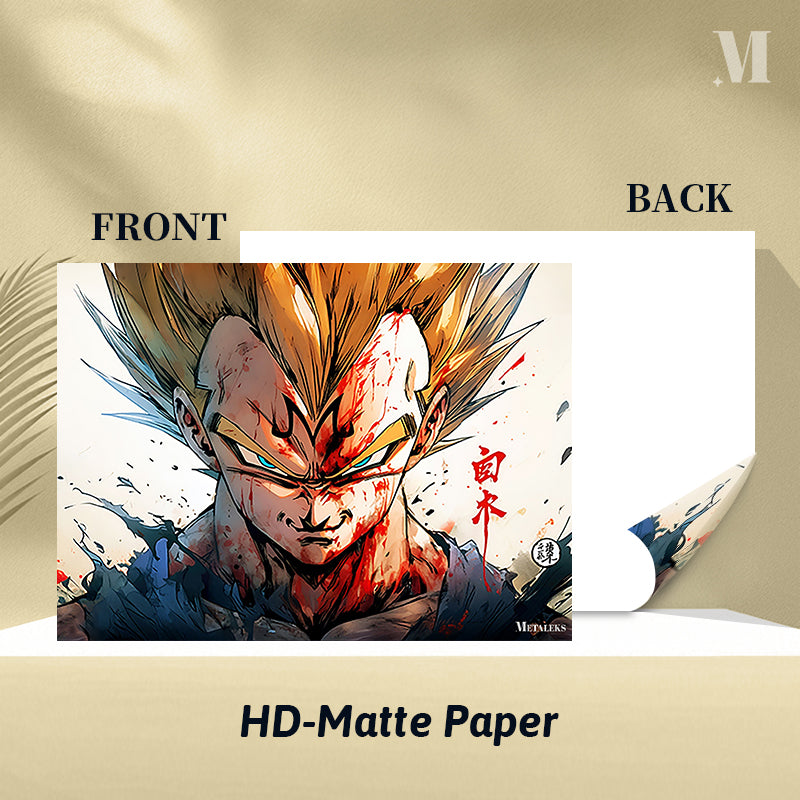 Dragon ball vegeta VC082025