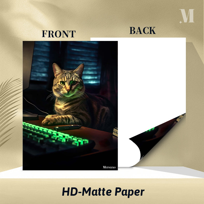 Gaming Cat