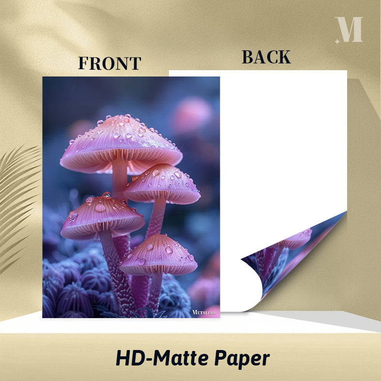 Glowing mushroom-M2705