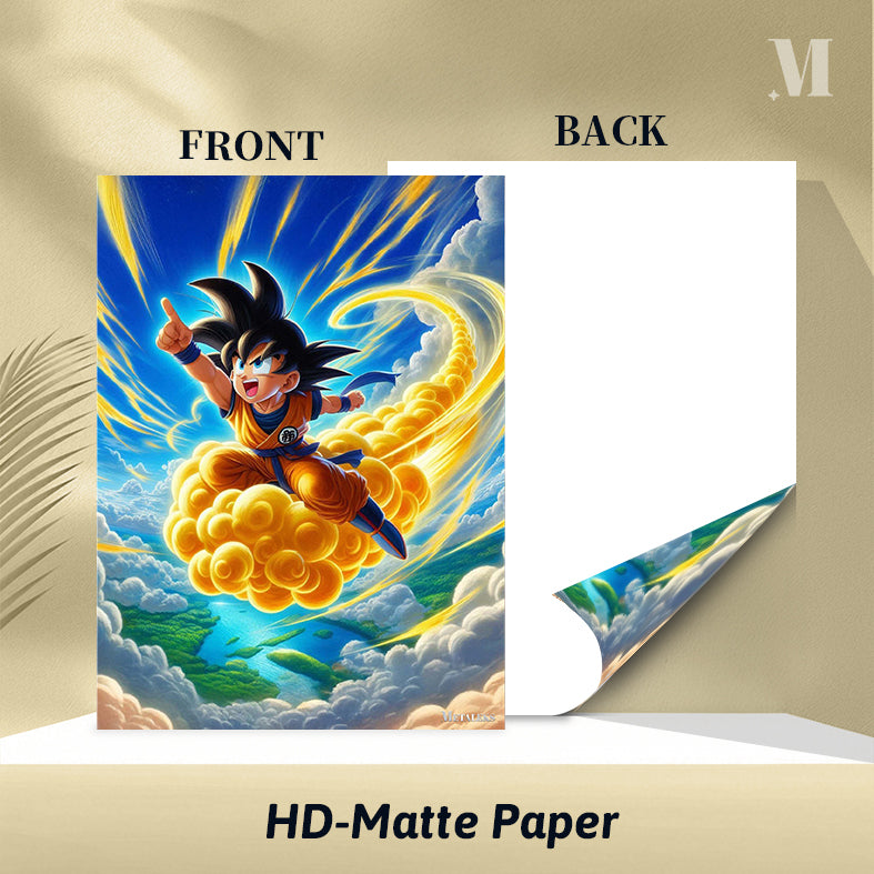 Goku Dragon Ball D0801-25