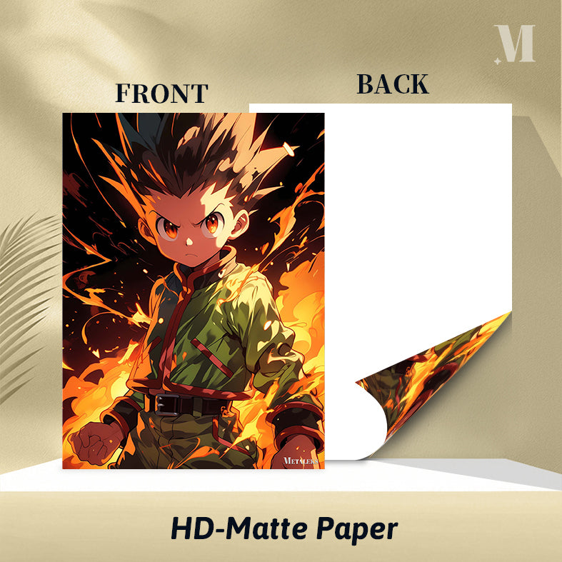 Gon Freecs Hunter X Hunter