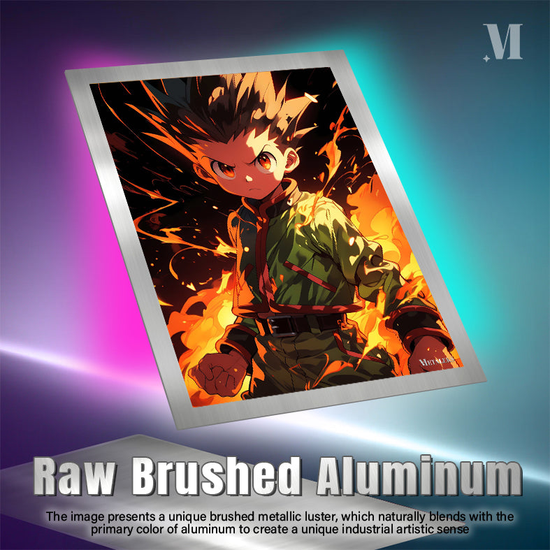 Gon Freecs Hunter X Hunter