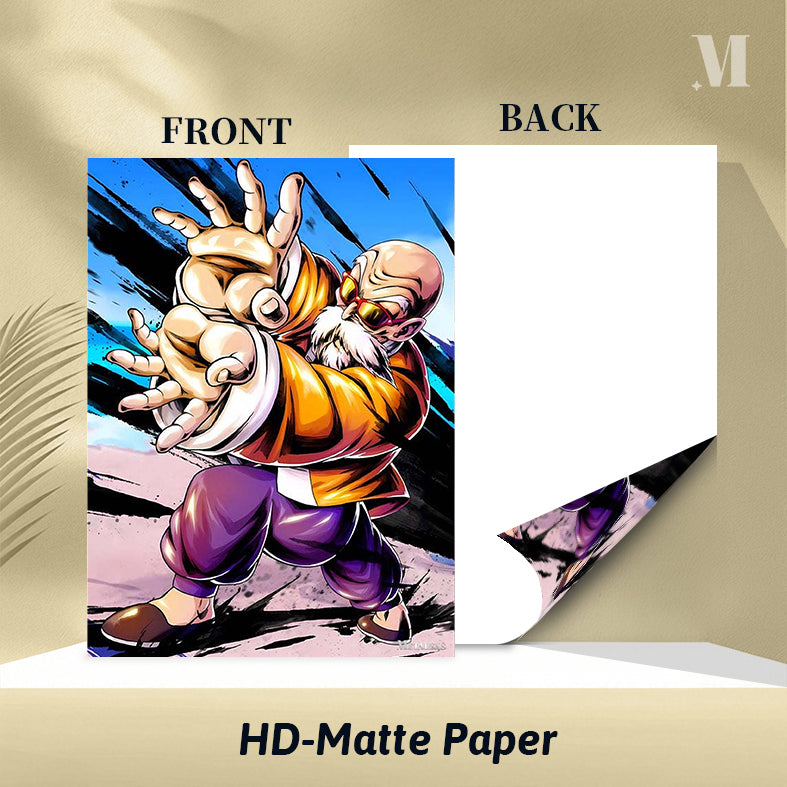 Master Roshi Dragon Ball D082025