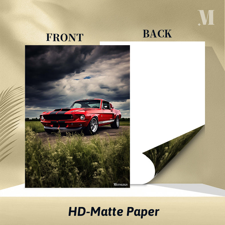 Mustang Car 5