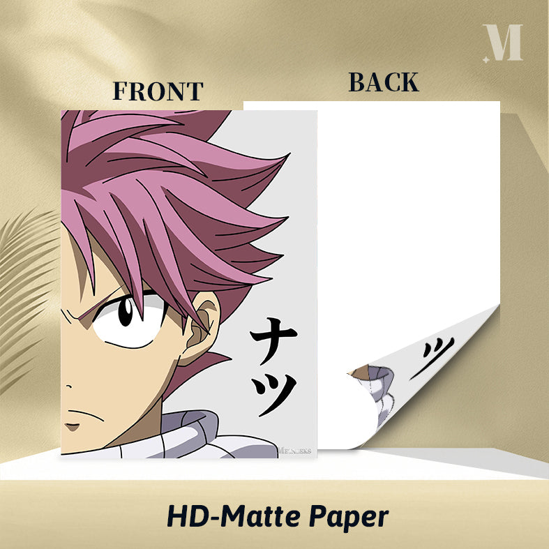 Natsu Dragneel Fairy Tail