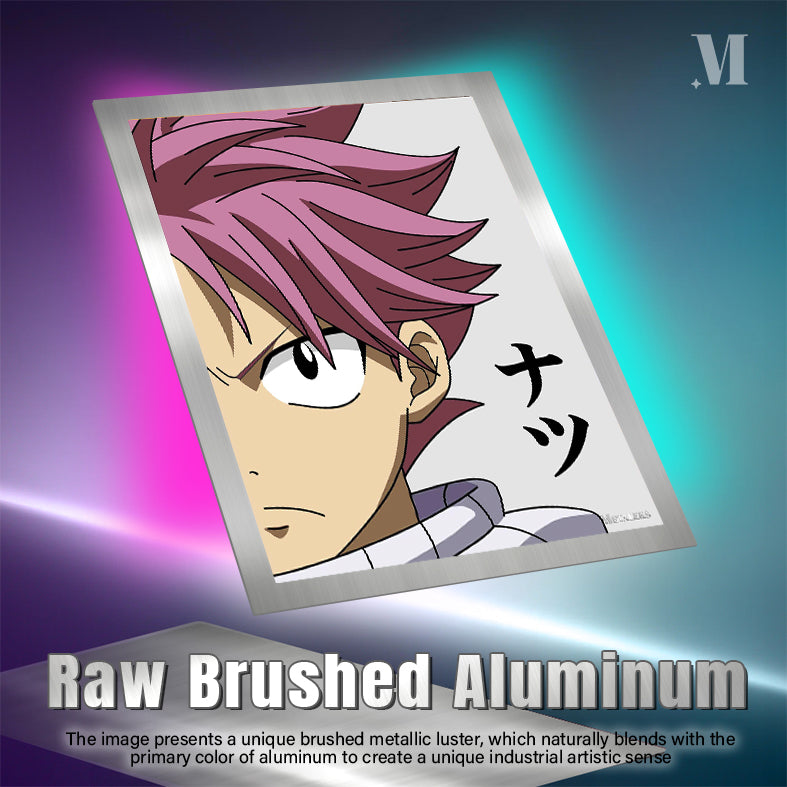 Natsu Dragneel Fairy Tail