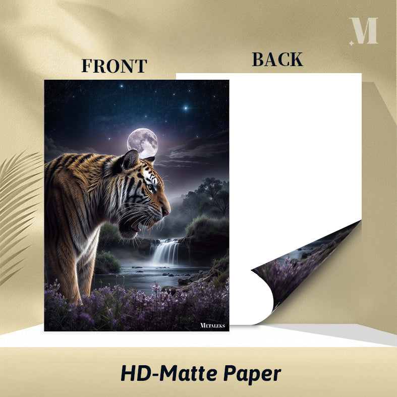 Night Tiger Wanderer