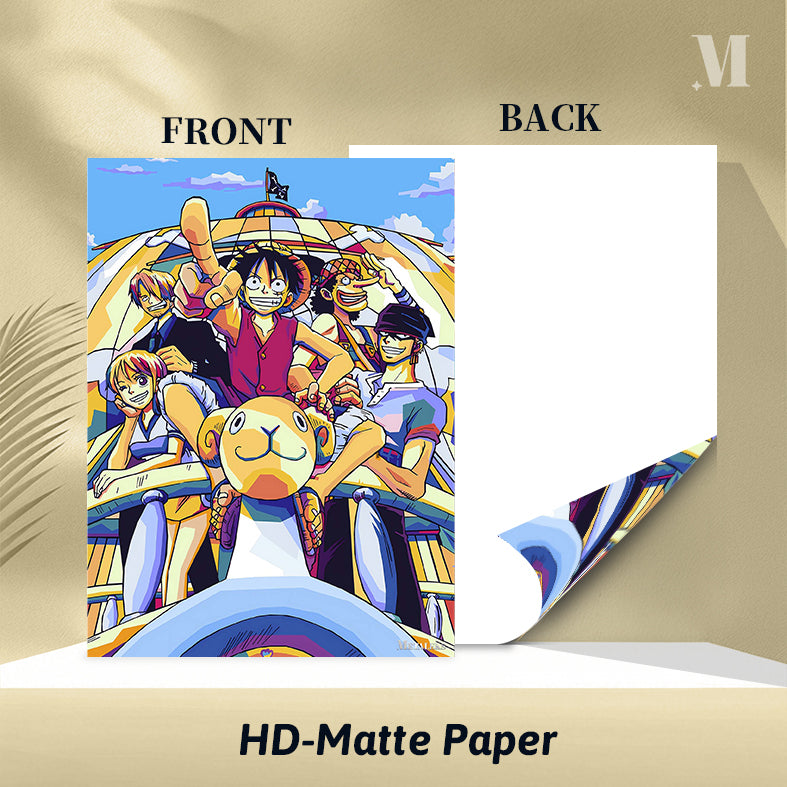One piece Art01