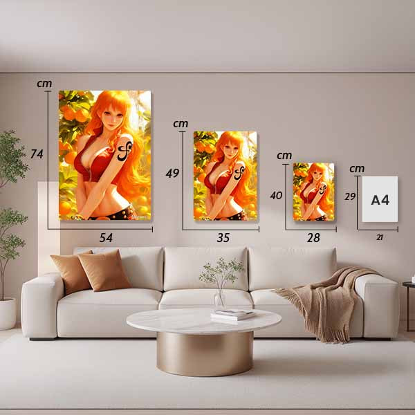 S009 One Piece Nami