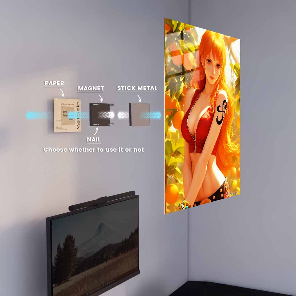 S009 One Piece Nami
