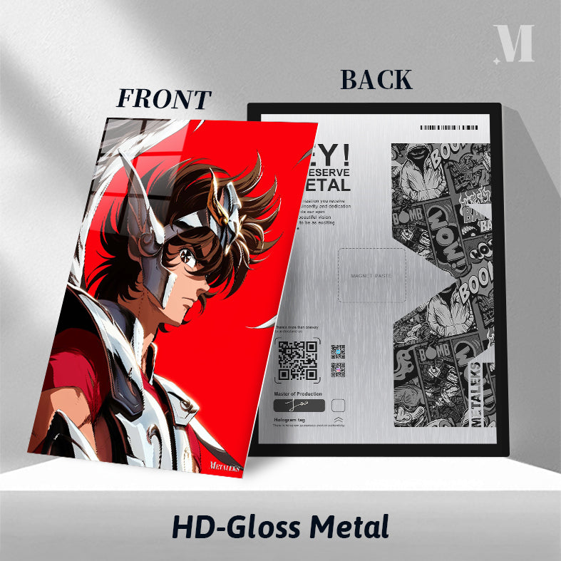 Saint seiya - Pegasus Seiya H0801-25