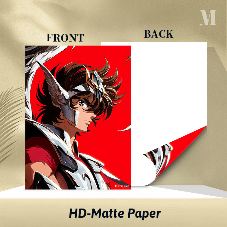 Saint seiya - Pegasus Seiya H0801-25
