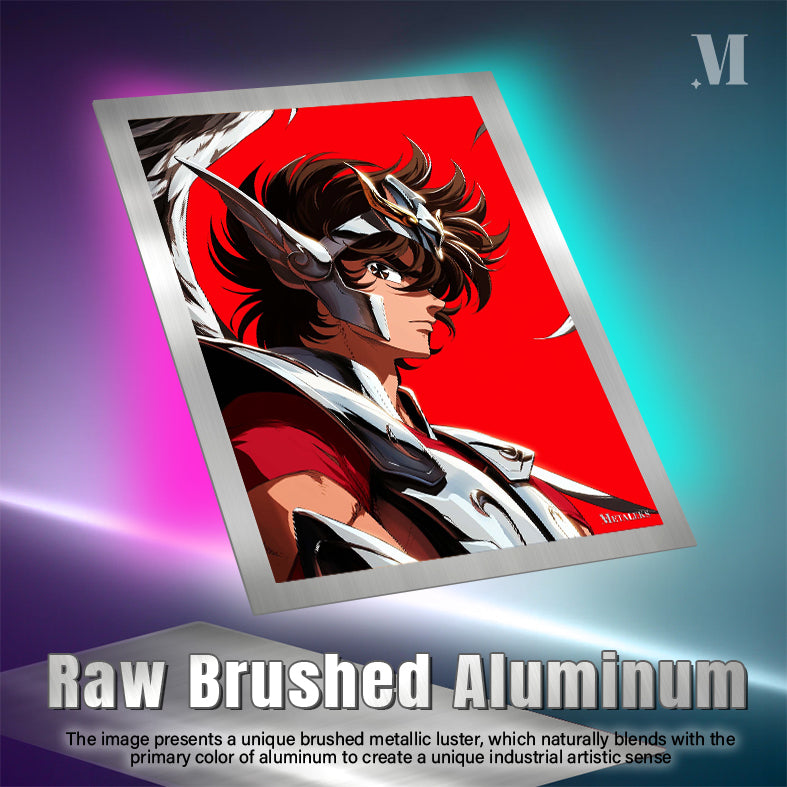 Saint seiya - Pegasus Seiya H0801-25