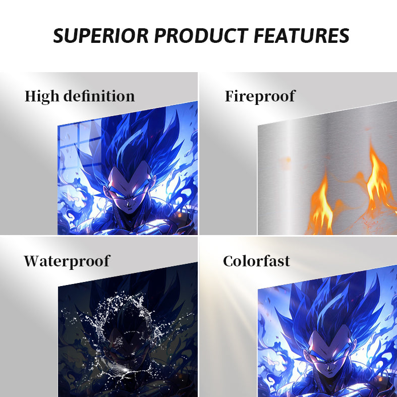 Vegeta Dragon Ball 01 C080925
