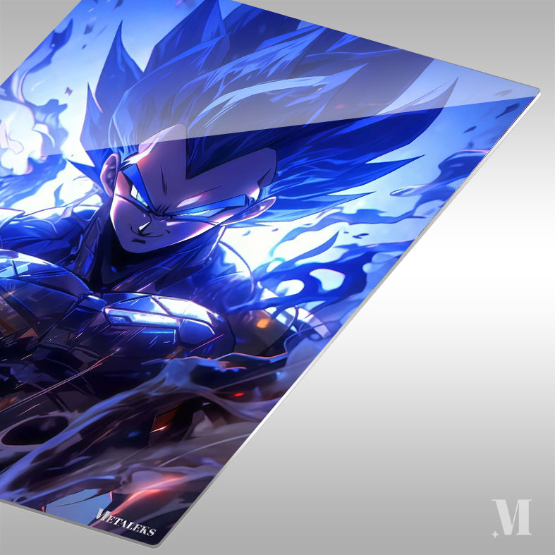 Vegeta Dragon Ball 01 C080925