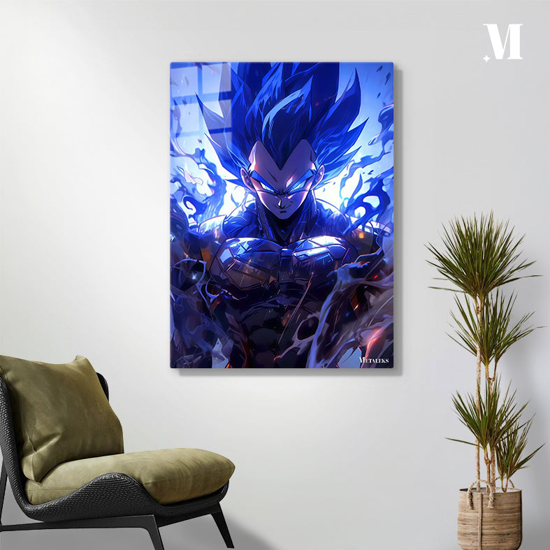 Vegeta Dragon Ball 01 C080925
