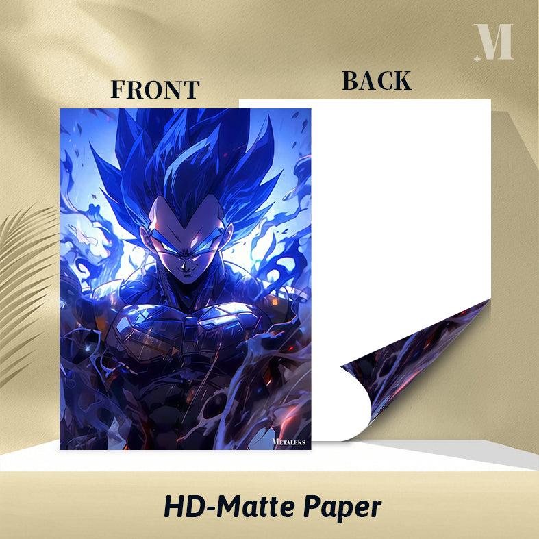 Vegeta Dragon Ball 01 C080925