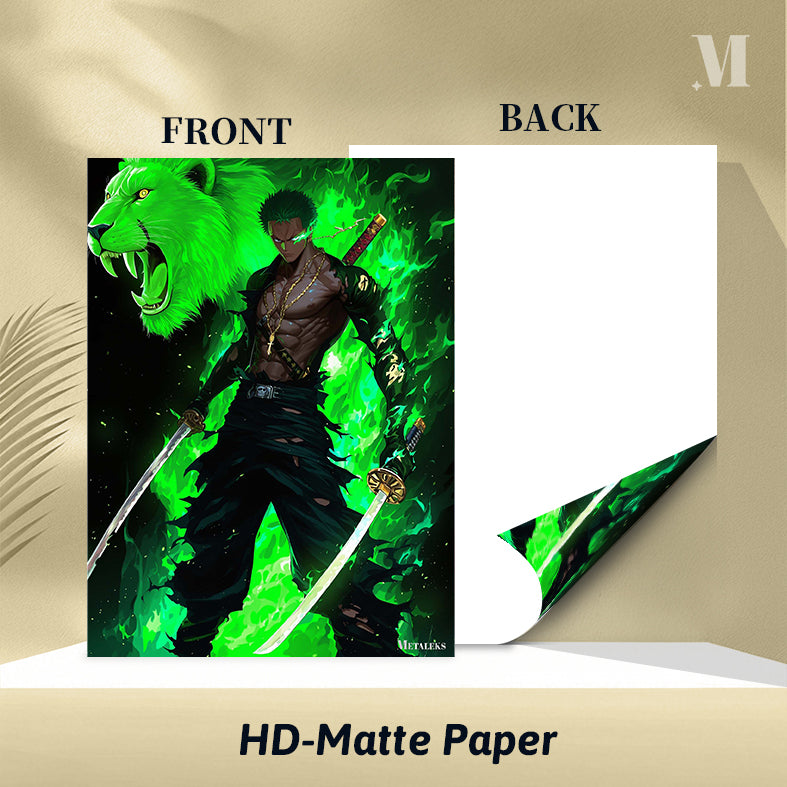 Zoro One Piece 01 C080725