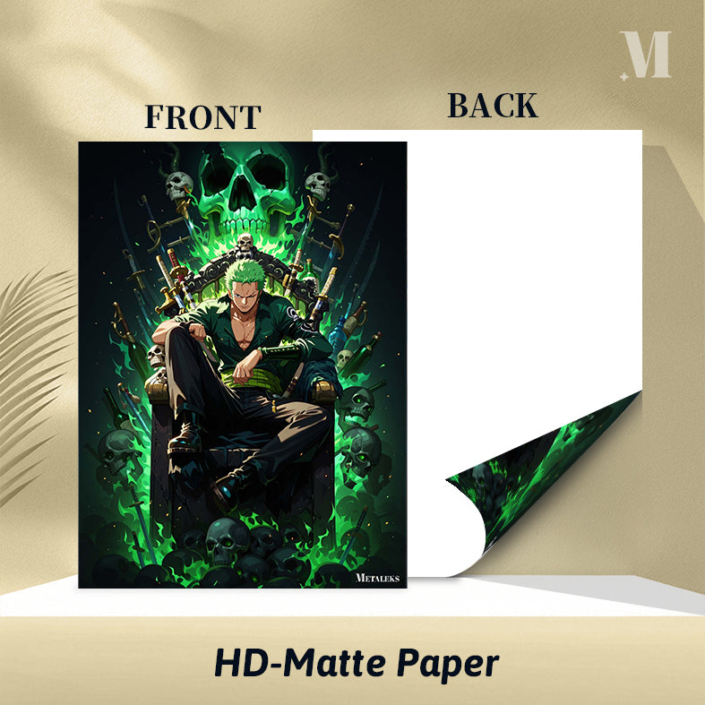 Zoro One Piece C080725
