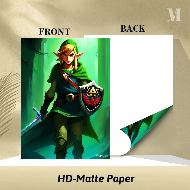 link 01 the legend of zelda