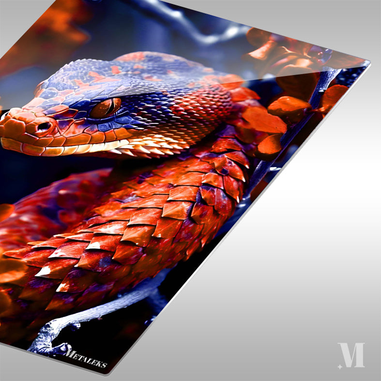 viper snake