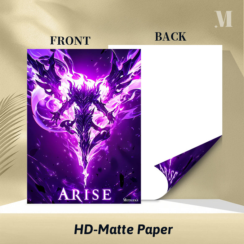 Arise Solo Leveling Art