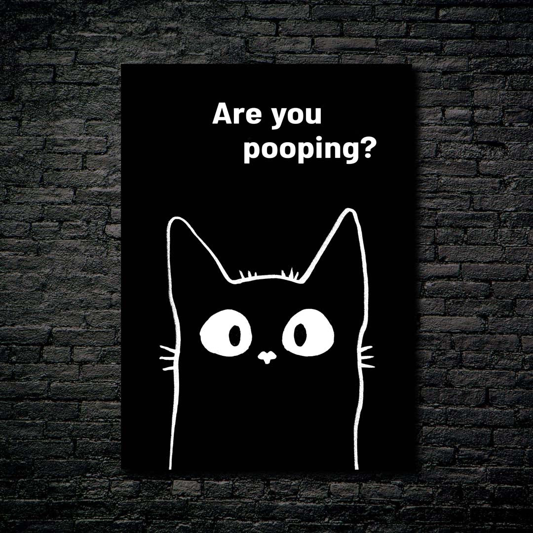 Black cat are you pooping_