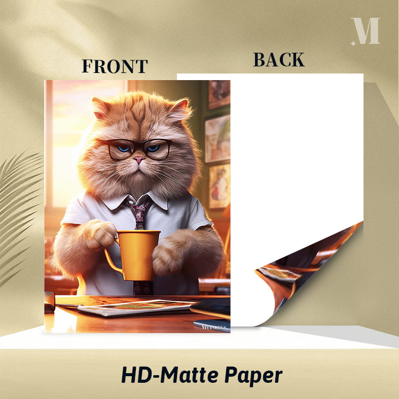 Cat Coffee
