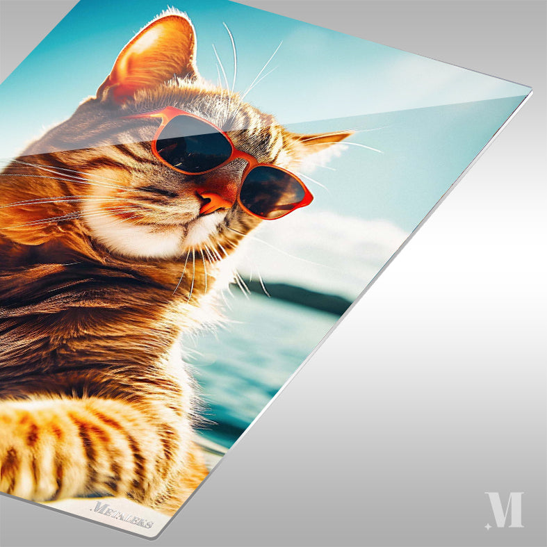 Cat Wearing Glasses