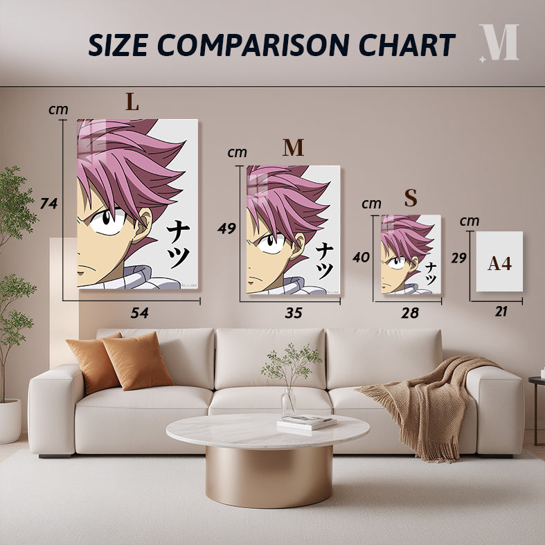 Natsu Dragneel Fairy Tail