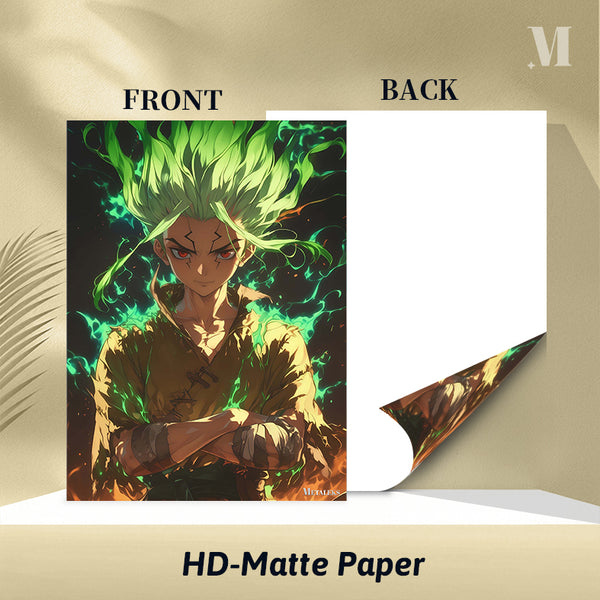 Senku Ishigami   Dr. Stone ZeetArt 001